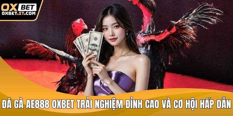 Đá gà ae888 OXBET