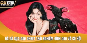 Đá gà cựa dao OXBET