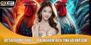 Đá gà thomo OXBET