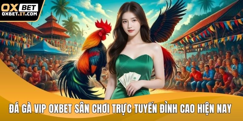 Đá gà vip OXBET